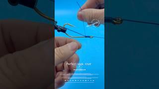 Perfect Hook Knot #fishing #gtknot #diy #angler