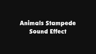 Animals Stampede SFX