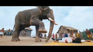 Elephant Is Waking Up Yash To Hit Rowdies Super Scene | Gajakesari Kannada Movie