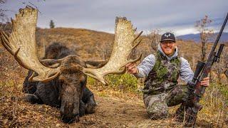 ONCE IN A LIFETIME UTAH MOOSE