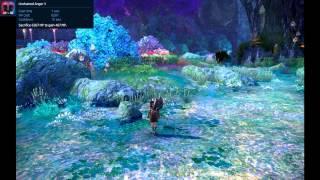 [Tera HD] Guide to Berserkers