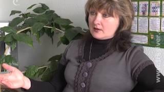 2015.04.11 Здоров'я нації. Червоний Хрест
