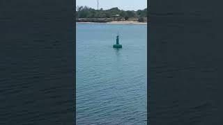 Man eaten by shark Mombasa while swimming near ferry