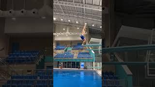 Back dive straight | 201a |  3m springboard | tips are welcome #diving #highdiving