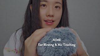 ASMR Ear Blowing & Massage your brain | Fluffy Mic Touching, Tascam (1 Hour, No Talking)