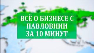 Всё о Бизнесе с Павловнии за 10 минут