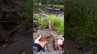 "Sometimes you can't get a boat to where the fish are" #shorts