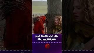 قرمز توی این دهکده خطرناکترین رنگه