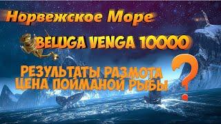 РР4 ️ Результат Размота и цена на рыбу  ️ Beluga Venga 10000 ️ Норвежское Море   sani0K 