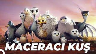 Maceracı Kuş (Yellowbird) Animasyon Filmi | Full Film İzle