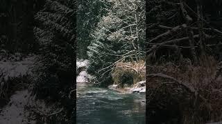 A frosting of snow on the stream bank. #nature #winter #snow