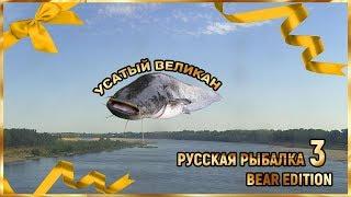 Русская Рыбалка Bear Edition 3.1.0.0  Ахтуба - Усатый великан