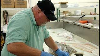 Tariffs Hurt the Heartland including Ohio Seafood Co.