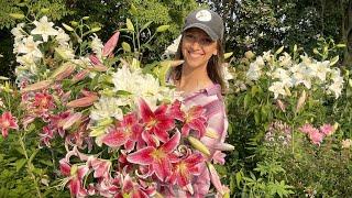 Lilies as Cut Flowers // How to Harvest, Condition, Process, & Store Lilies + Best Lily Varieties!!!