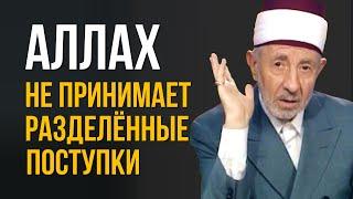 №199 Аллах не принимает разделенный поступок | Верующие любят Аллаха сильнее | Шейх Рамадан аль-Буты