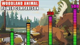 Woodland Animals Power Comparison | Animal Animation