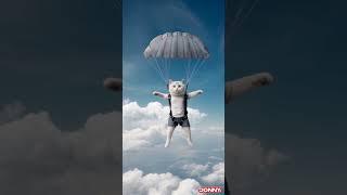 Cat skydiving with a tiny parachute