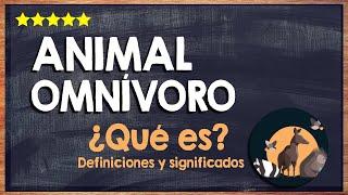  ¿Qué es un animal omnívoro? - Animales que se alimentan de animales y plantas 