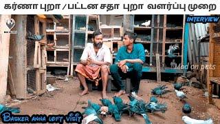 Basker anna pigeon cage visit | karna pura & satha pura | tamil | mad on pets