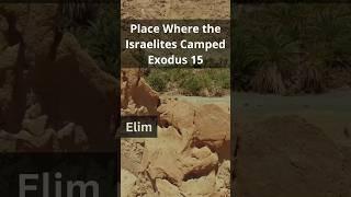 Elim: Place Where the Israelites Camped, Exodus Route from Egypt - Full Video in Description