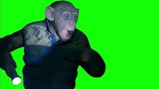 Monkey saying "OH NO!" meme - Green Screen - War for the Planet of the Apes