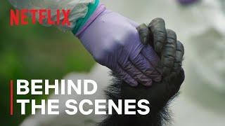 The Death of Pork Pie | Chimp Empire | Netflix