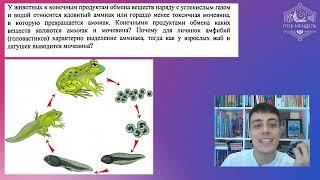 Образование мочевины, аммиака. Метаболизм азотсодержащих соединений. ЕГЭ по БИОЛОГИИ | Глеб Мендель