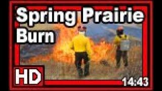 Spring Prairie Burn - Wisconsin Garden Video Blog 818