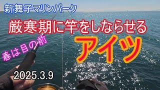 【新舞子マリンパーク】厳寒期に竿を曲げるアイツ