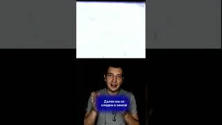 КАК ВЫРАСТИТЬ КЛУБНИКУ В ДОМАШНИХ УСЛОВИЯХ НЕ ПОКУПАЯ СЕМЕНА #shorts