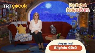 Kız Kulesi Masalları I Bilginin Gücü Masalı I Ayşen İnci