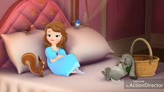 Sofia the First; First Error: Sofia's slippers