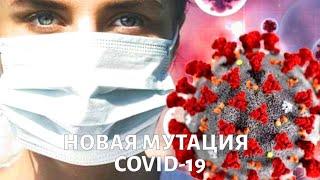 Геном COVID-19. Что мы знаем о мутациях коронавируса?