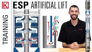 Artificial Lift: Electric Submersible Pumps (ESP) in Oil & Gas Systems