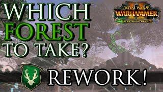 Which FOREST to take first? - Wood Elves Rework Guide Warhammer 2