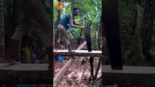Most Satisfying Videos Of Workers Doing Their Job Perfectly  | Work Hub