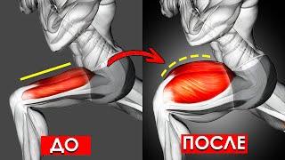 Делай Эти Упражнения 5 МИНУТ В ДЕНЬ, Чтобы Накачать Мощный Квадрицепс (Тренировка Ног)