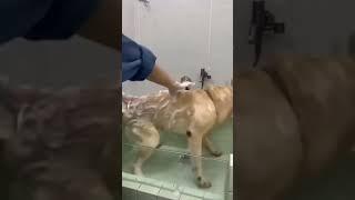#жизнькайф
