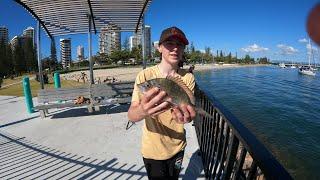 Welcome to fishing fanatics