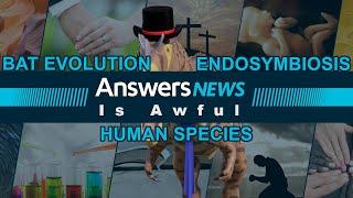 Bat Evolution Endosymbiosis Human Species Answers News Is Awful