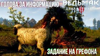 Начало новой  | Прохождение Ведьмак 3 | #1