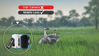 ক্যামেরা ছাড়াই ক্যামেরার মতো ভিডিও  | Mobile Telephoto Lens Review