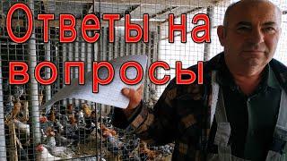 Отвечаю на комментарии | Вопросы подписчиков