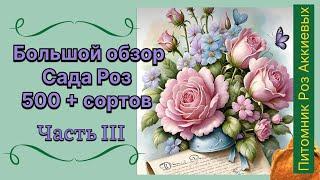 Обзор сортов Роз , Часть III . Краткие характеристики , видео из сада #rose