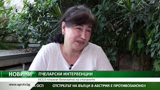 ПЧЕЛАРСКИ ИНТЕРВЕНЦИИ: НССЗ помагат безплатно на стопаните