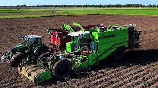 Aardappels rooien | Potato harvest | AVR Puma 4 | Fendt 724 | Krampe BigBody 900 | Kartoffeln roden