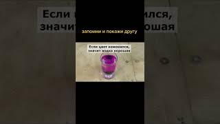 Как проверить водку на качество за несколько секунд