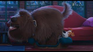 The Secret Life of Pets: Duke Buttcrush Fart Edit