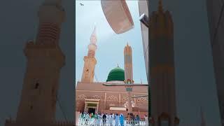 Bahar-e-Madina