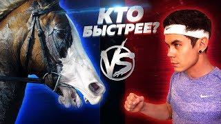 КТО БЫСТРЕЙ ЧЕЛОВЕК ИЛИ ЛОШАДЬ? — ТОПЛЕС